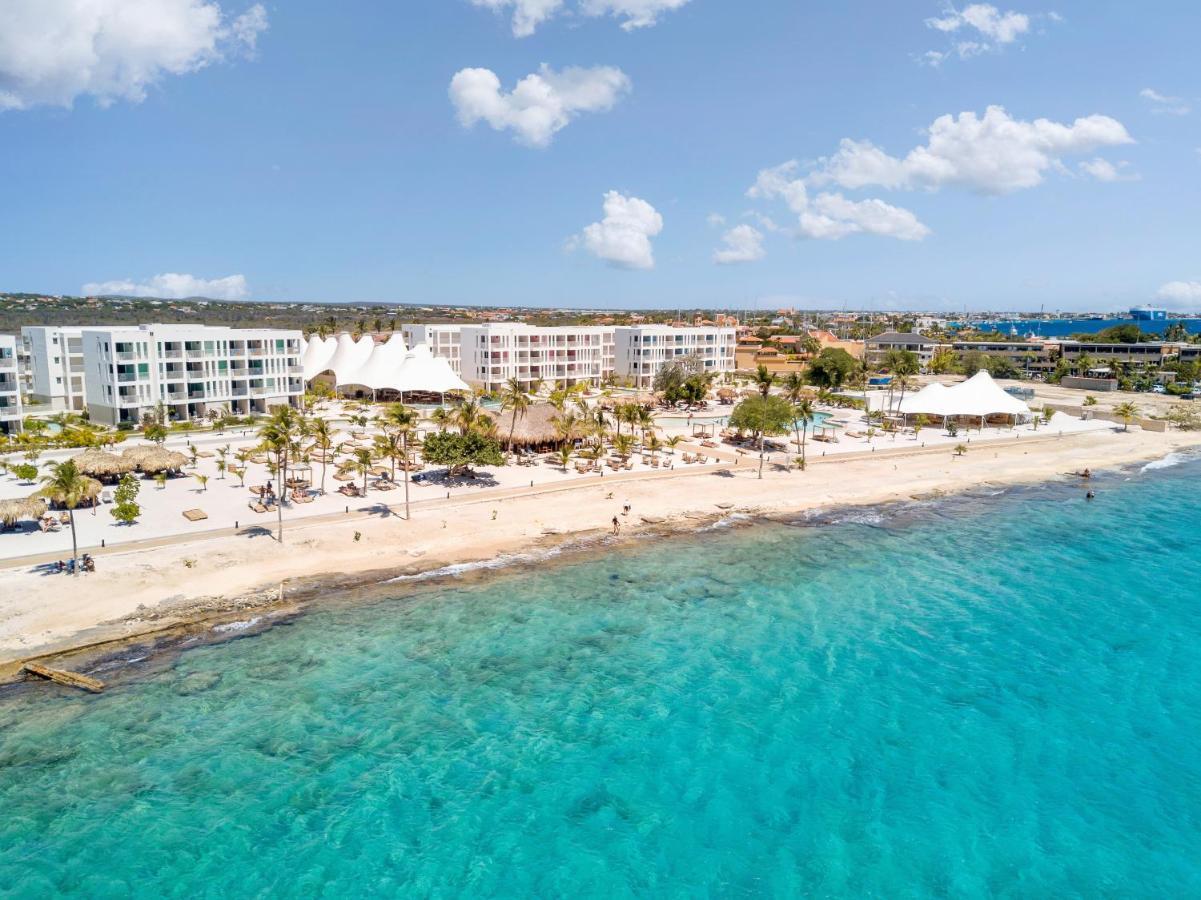 Chogogo Dive & Beach Resort Bonaire 크랄렌데이크 외부 사진
